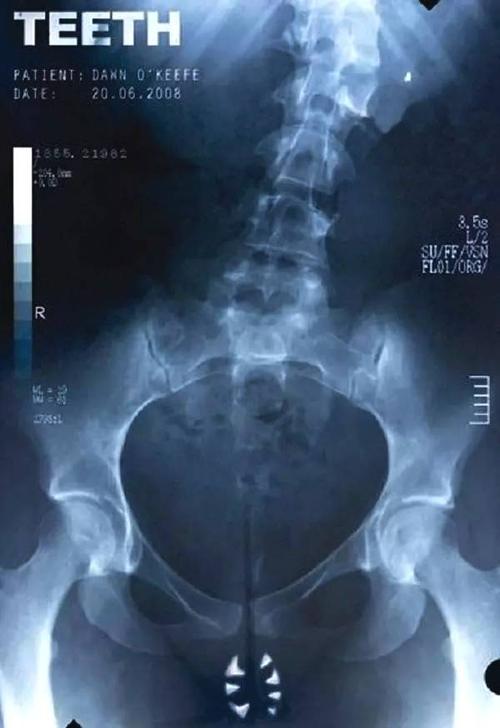 绍斯波特办理假身份证